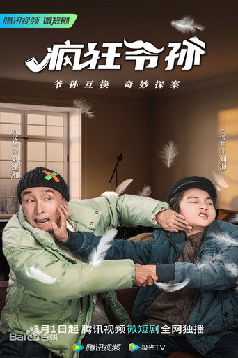 疯狂爷孙海报