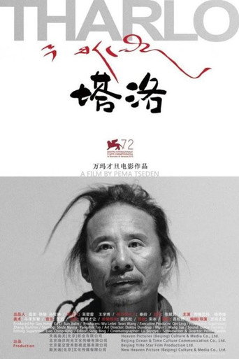 塔洛海报