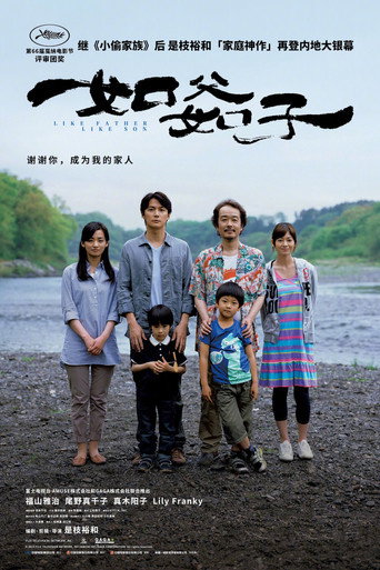 如父如子海报
