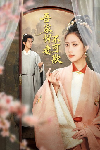 吾家悍妻不可欺海报