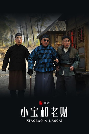 小宝和老财海报