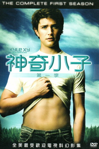 天赐 第 1 季海报