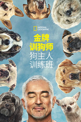 金牌训狗师：狗主人训练班 第 1 季海报