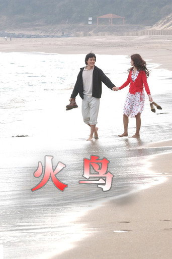 火鸟海报