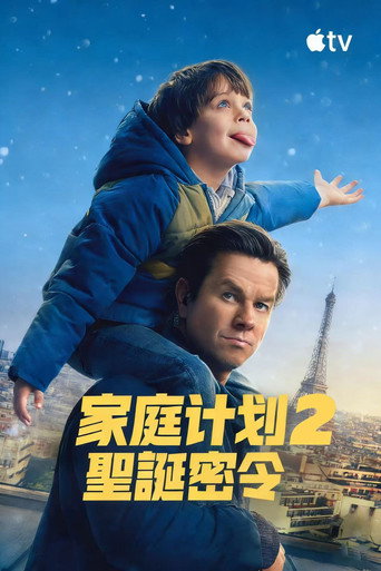 家庭计划2海报