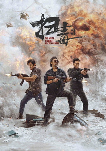扫毒3：人在天涯海报