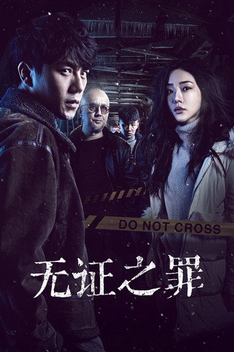 无证之罪海报