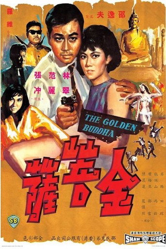 金菩萨海报