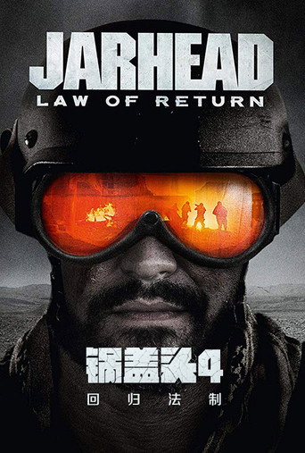 锅盖头4：回归法制海报
