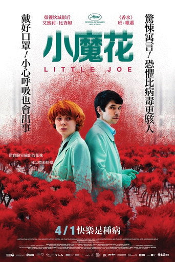 小小乔海报