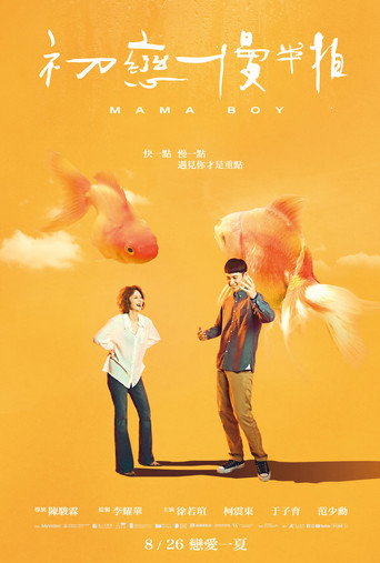 初恋慢半拍海报