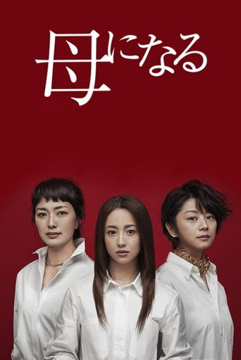 成为母亲海报