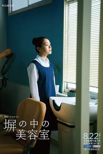 高墙之内的理发室海报