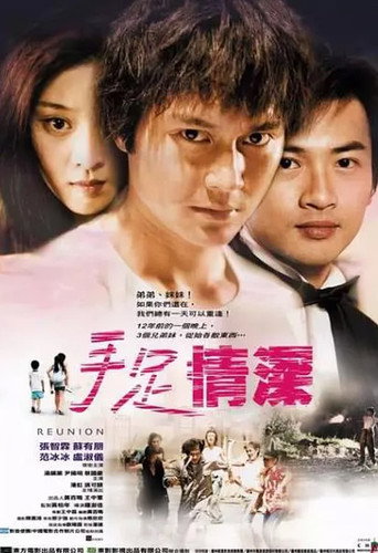 手足情深海报