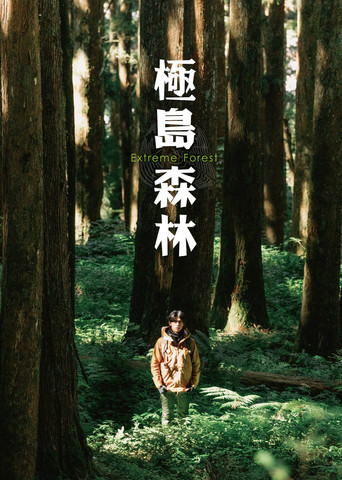 极岛森林海报
