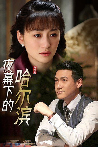 夜幕下的哈尔滨海报