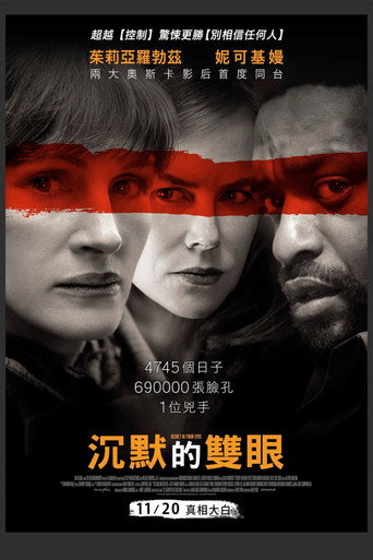 谜一样的双眼海报