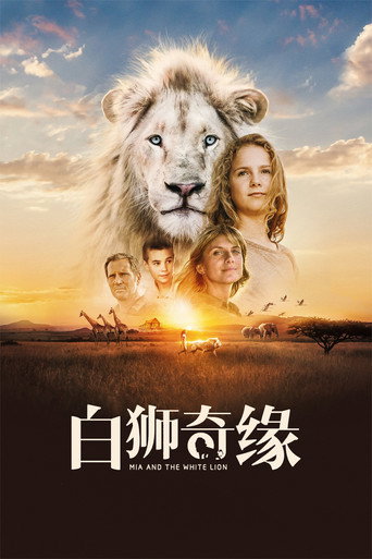 白狮奇缘海报