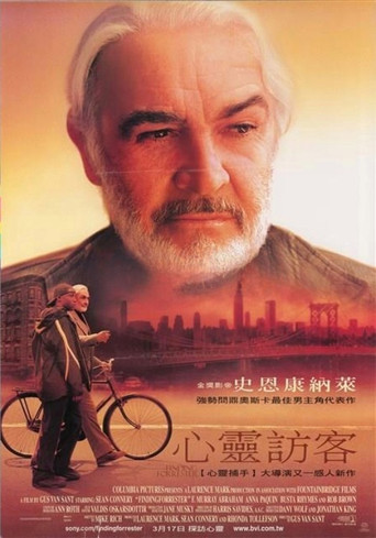 心灵访客海报