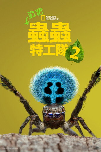虫虫历险记 第 2 季海报