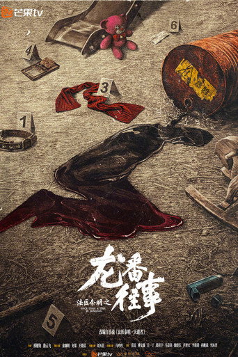 法医秦明之龙番往事海报