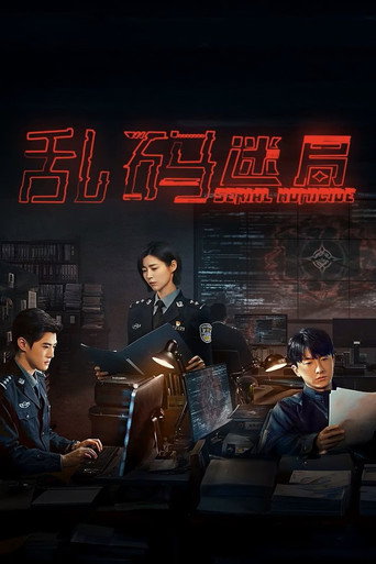 乱码迷局海报