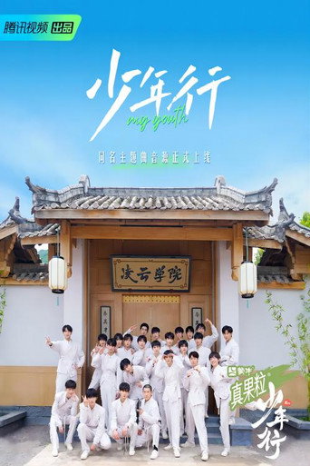 少年行海报