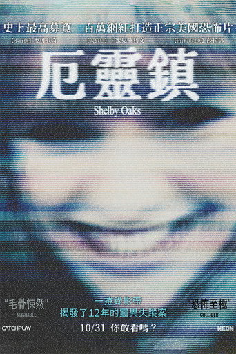 寻踪迷镇海报
