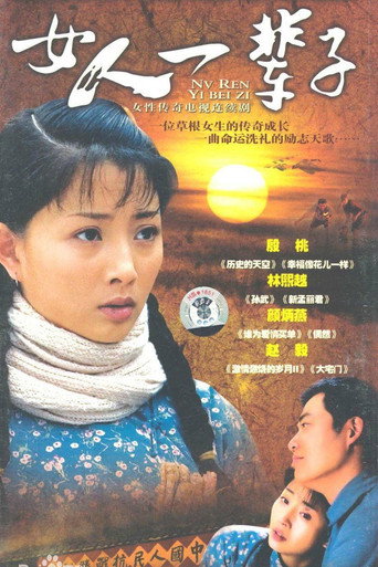 女人一辈子海报