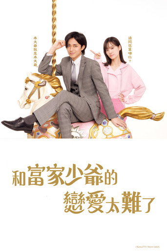 恋上少爷太难了海报