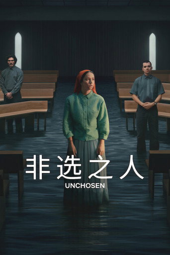 非选之人海报