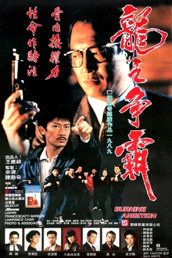 龙之争霸海报