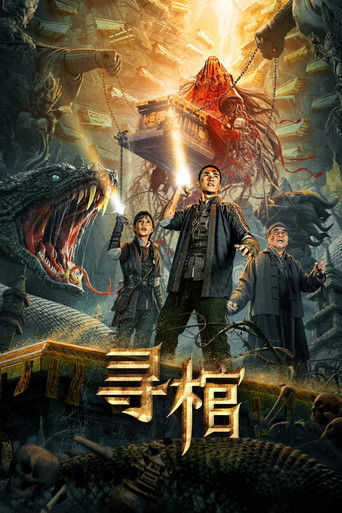 寻棺海报