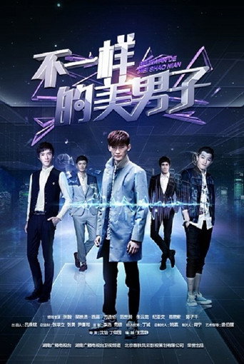 不一样的美男子海报