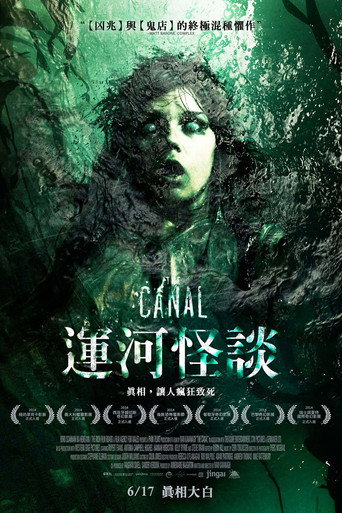 运河迷踪海报