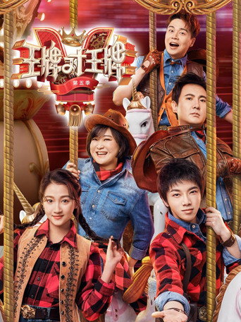 王牌对王牌 第 5 季海报