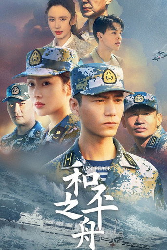 和平之舟海报