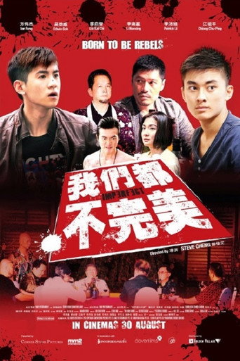 我们都不完美海报