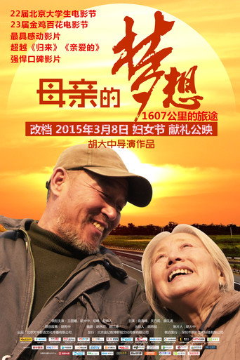 母亲的梦想海报