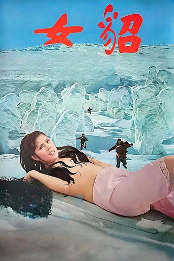 貂女海报