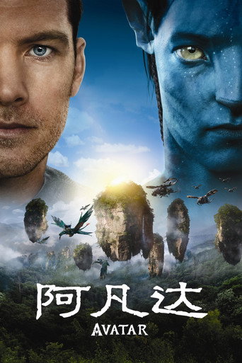 阿凡达海报