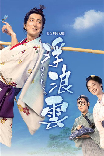 浮浪云海报