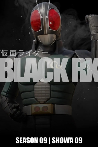 假面骑士BLACK RX海报
