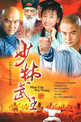 少林武王海报