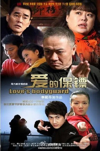 爱的保镖海报