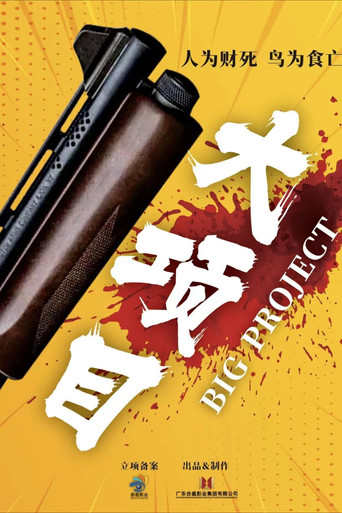 大项目海报