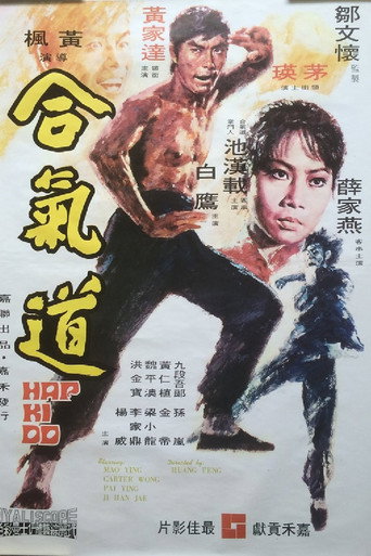 合气道海报