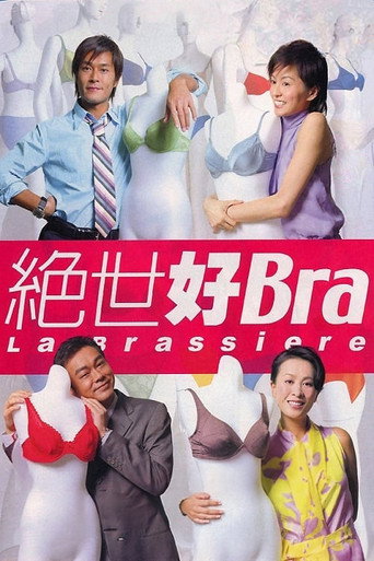 绝世好Bra海报