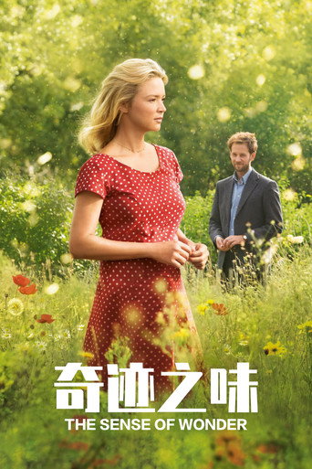 奇迹之味海报