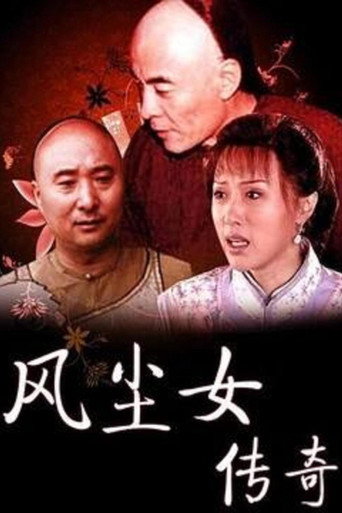 风尘女传奇海报